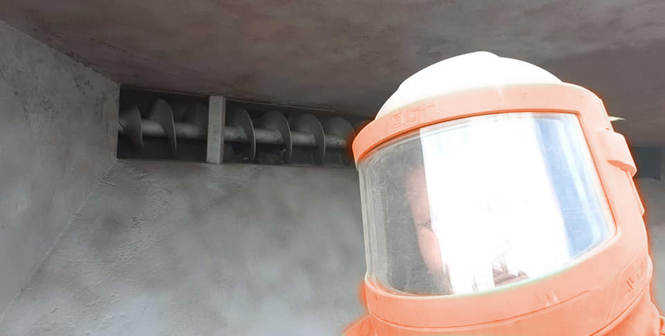 masked-orange-Flipped masked-orange-Flipped